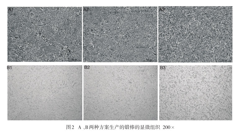 A 、B兩種方案生產(chǎn)的鍛棒的顯微組織